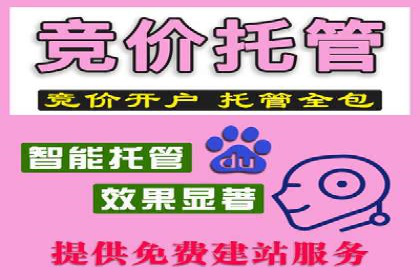 SEM竞价培训：实战案例解析